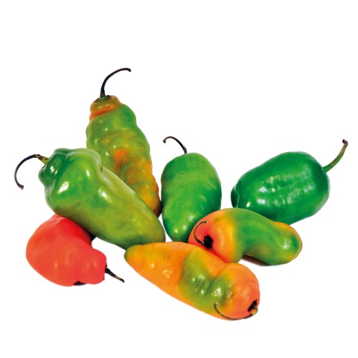Locoto Fresco 1 kg